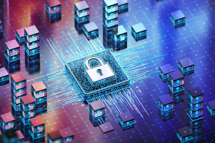 ngành an ninh mạng ra làm gì