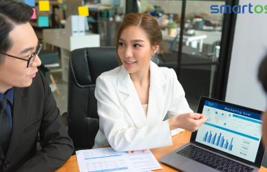 What is Business Analyst?